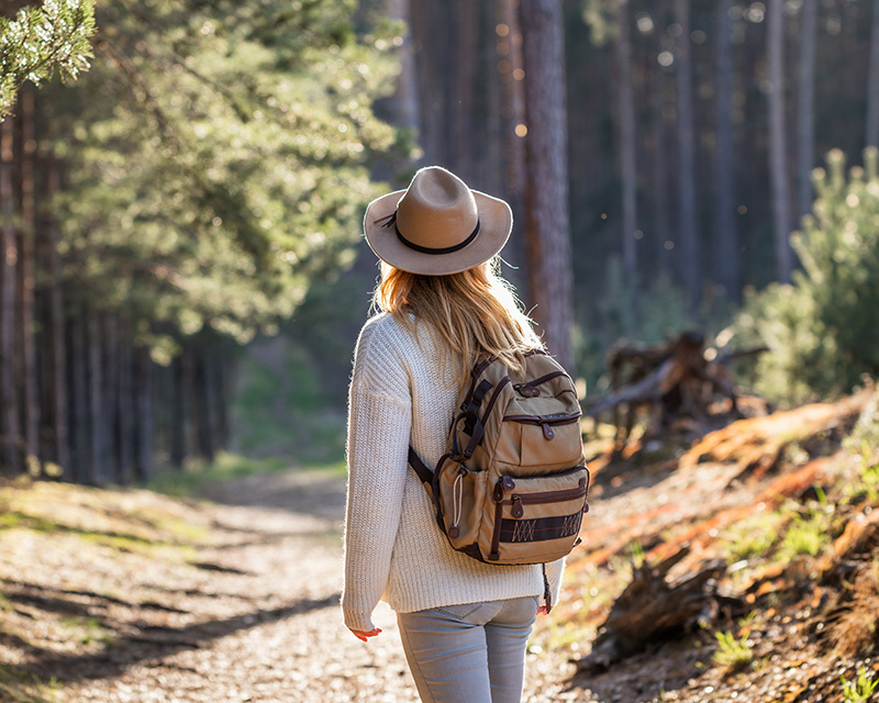 Woman on a path in the woods, individual therapy serving Hastings on the Hudson, Irvington, Tarrytown, Dobbs Ferry, Pleasantville and all of New York State